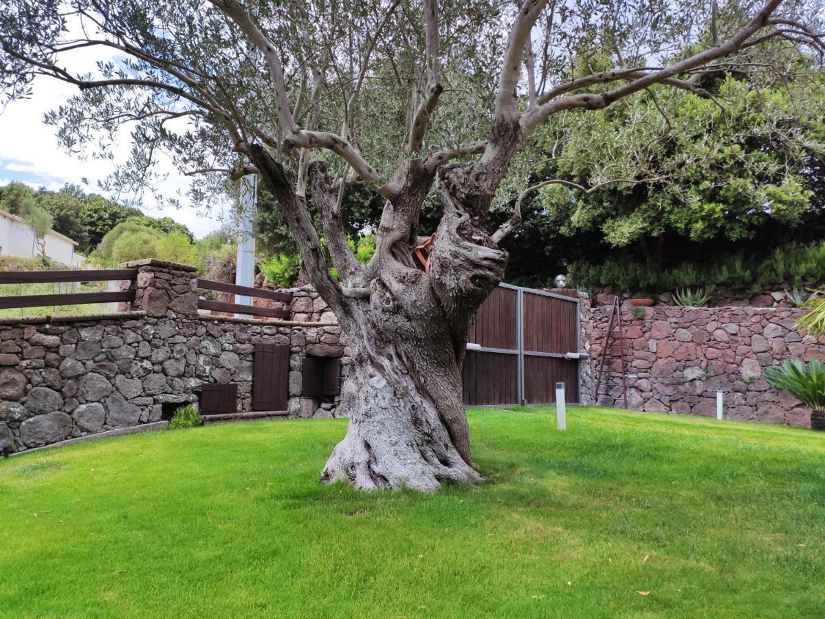 Casa Bados Vila Dorgali Exterior foto